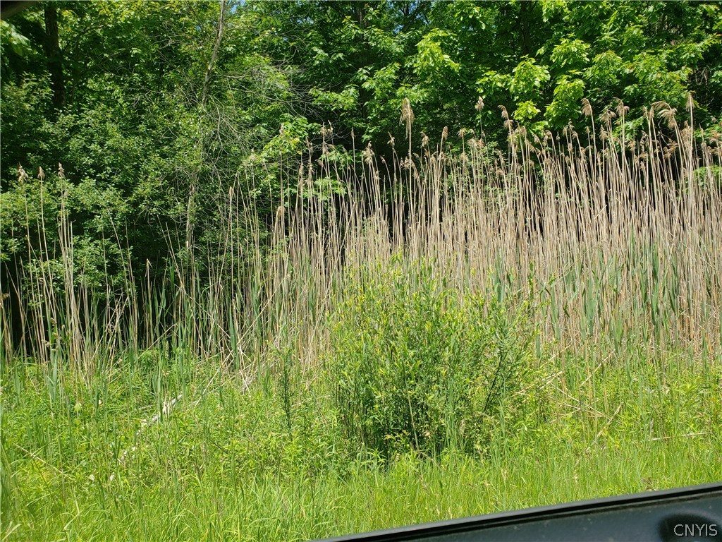 98 Riverside Pointe Drive Pulaski, NY 13142 - Photo 1 of 1