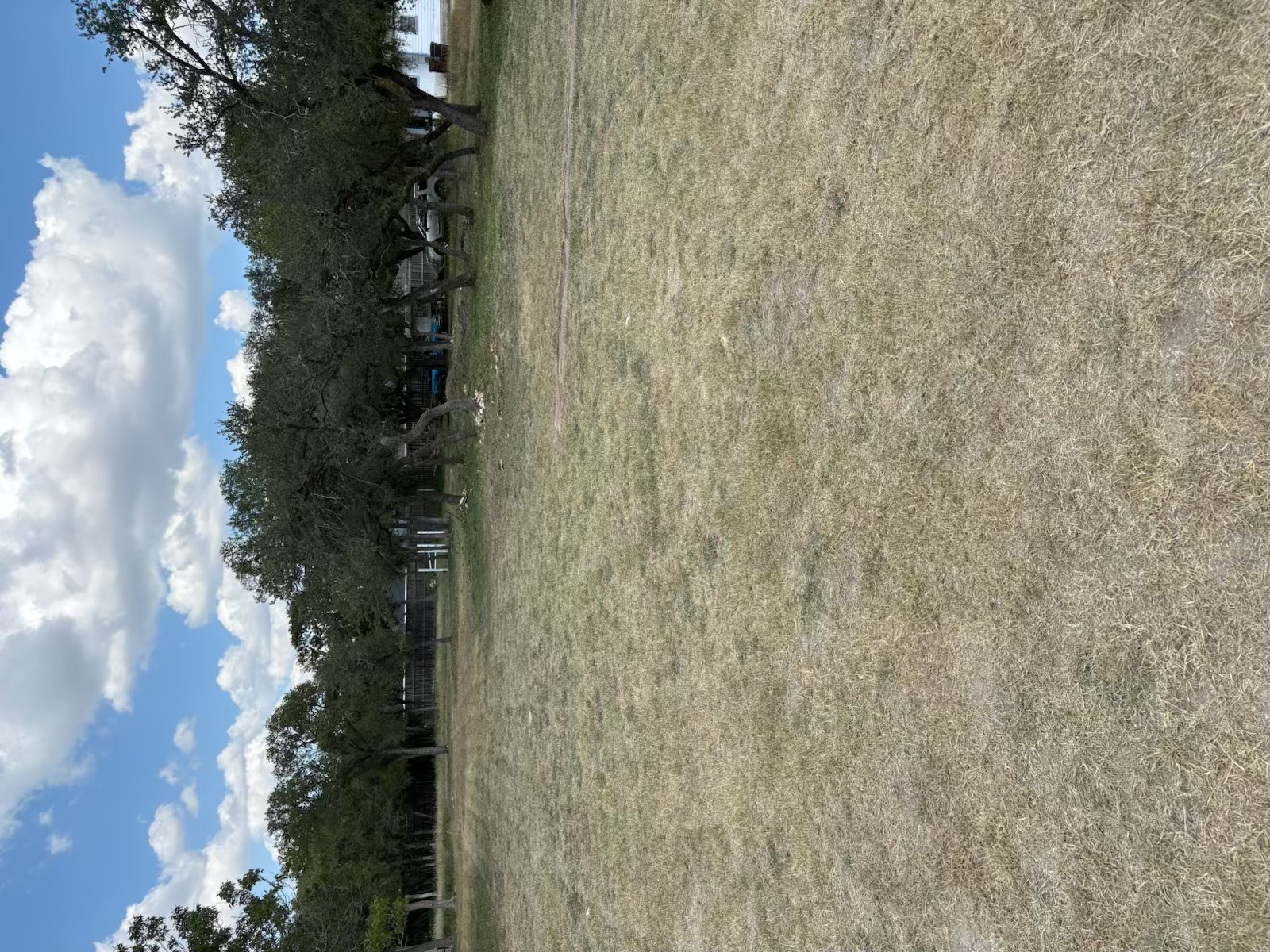 1325 Old Austin Rock Road Round Rock, TX 78681 - Photo 5 of 9 1/2 acre in the heart of Round Rock