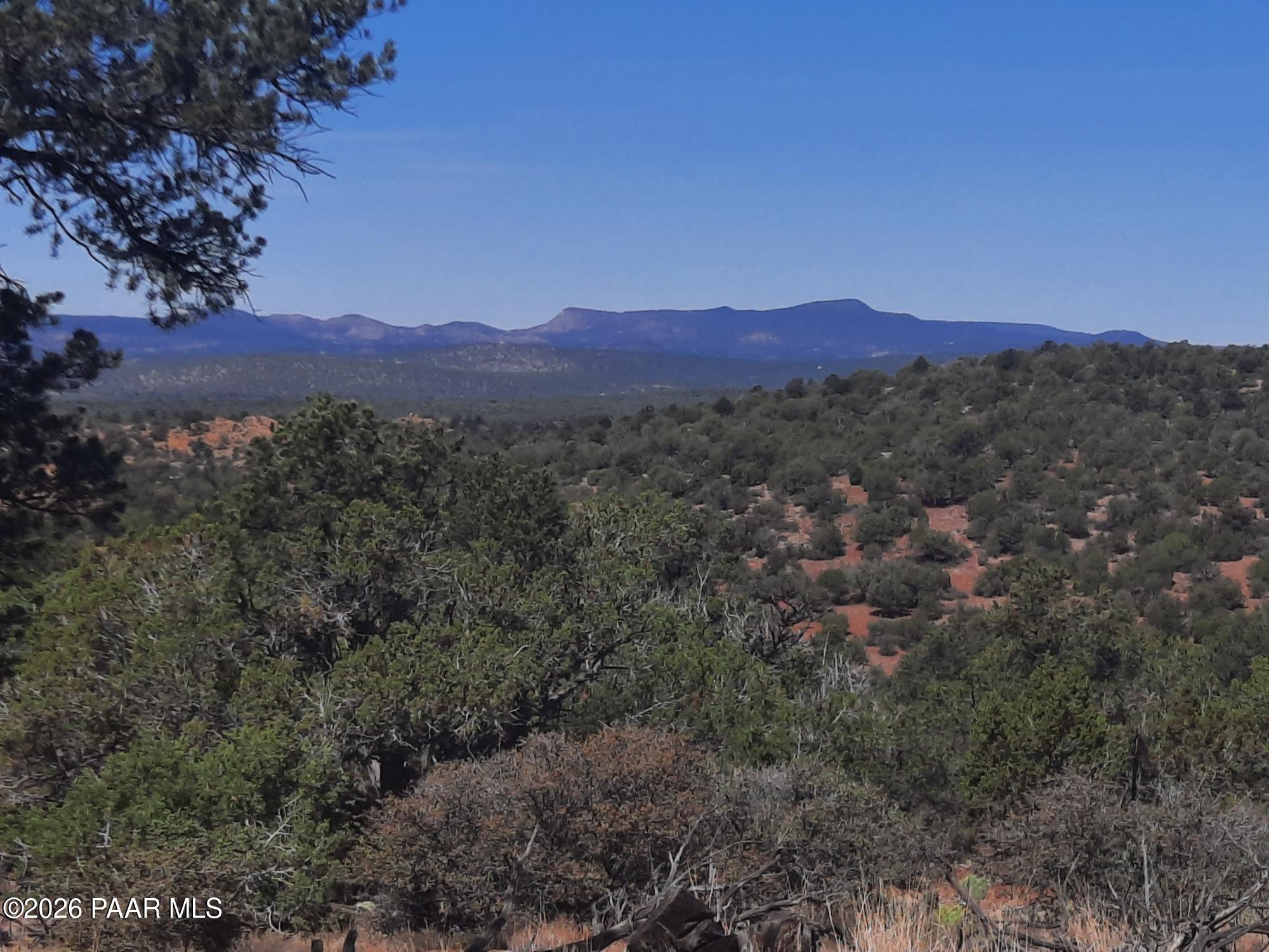 30109002 B Off Retirement Road Seligman, AZ 86337 - Photo 2 of 12 a view of a forest with a street