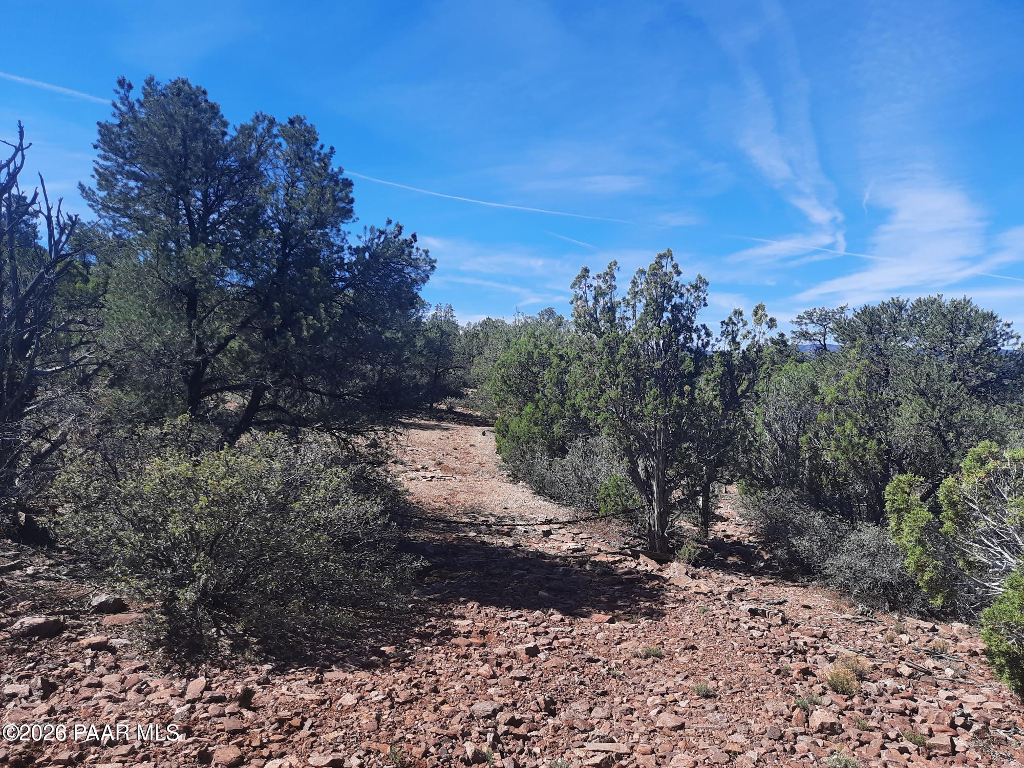 30109002 B Off Retirement Road Seligman, AZ 86337 - Photo 3 of 12 a view of a yard with a tree