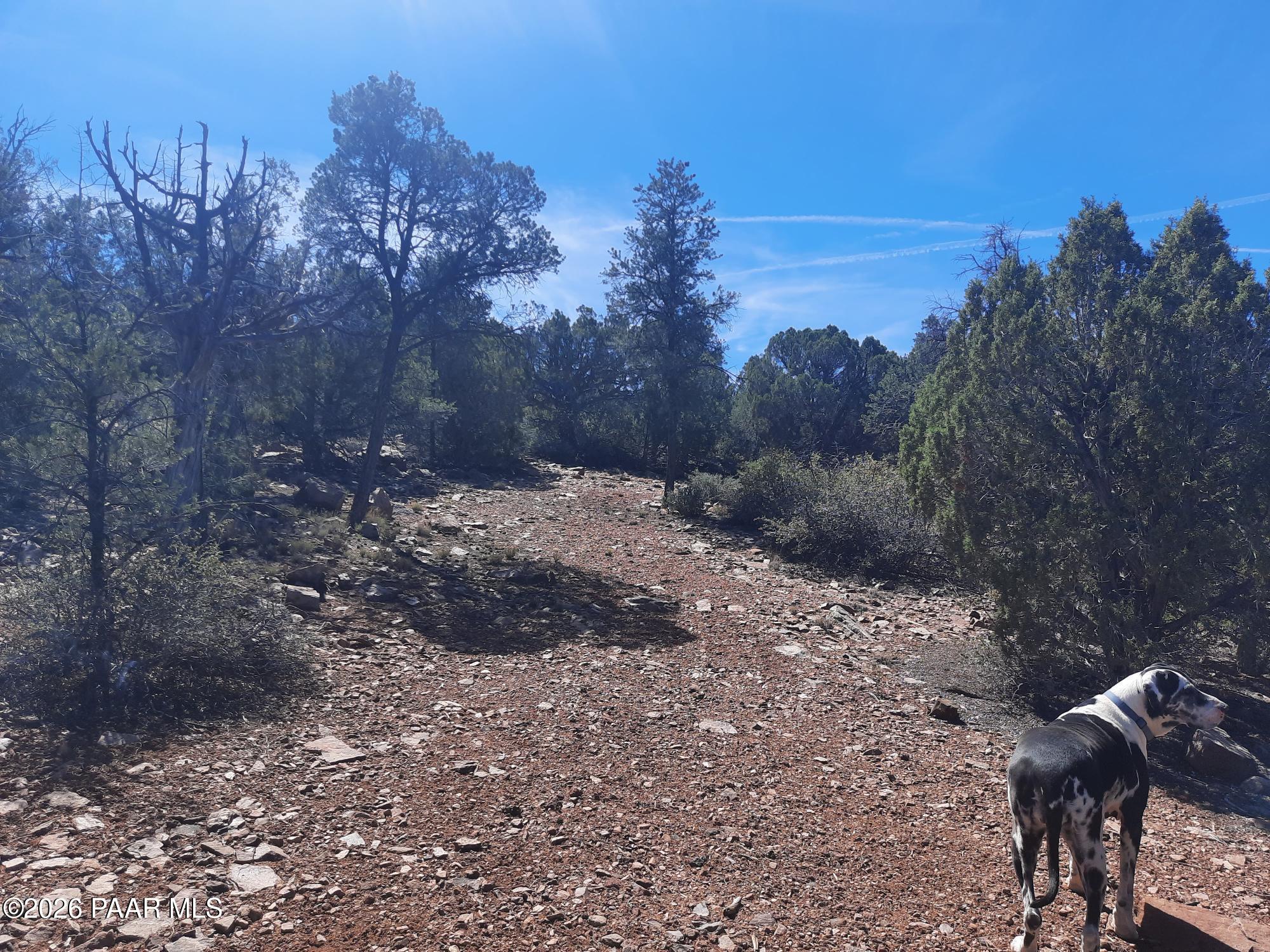 30109002 B Off Retirement Road Seligman, AZ 86337 - Photo 4 of 12 a view of a yard with mountain view