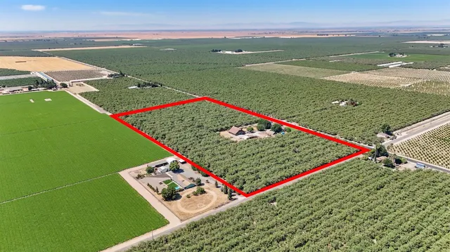 a view of a backyard with plants