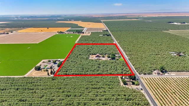 a view of a forest with trees