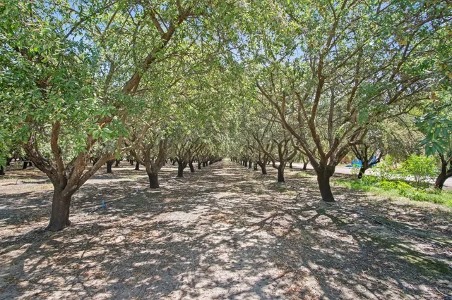a front view of a house with a yard and porch