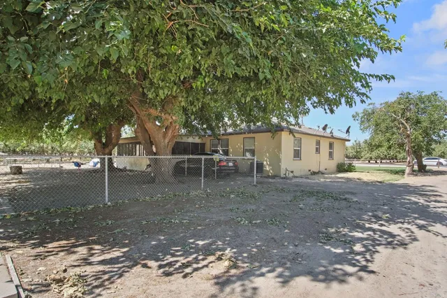 a view of a dry yard with a large tree in front of it