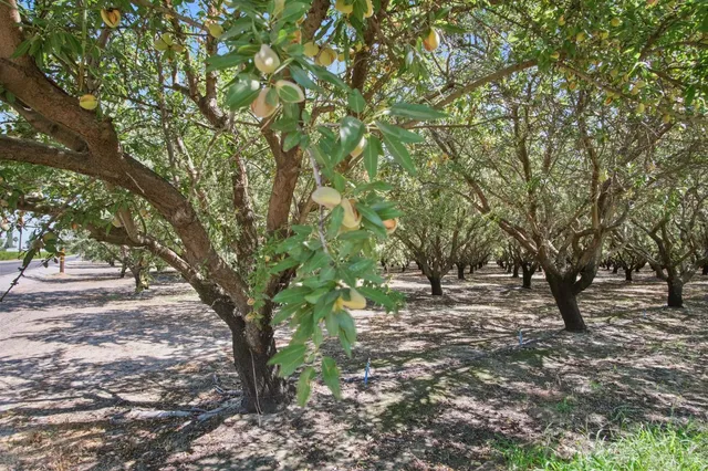 $1,290,000 | 2404 Sultana Drive, Atwater, CA 95301