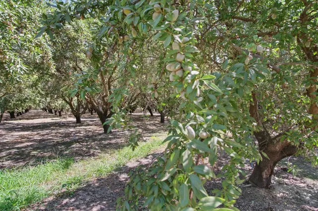 $1,290,000 | 2404 Sultana Drive, Atwater, CA 95301