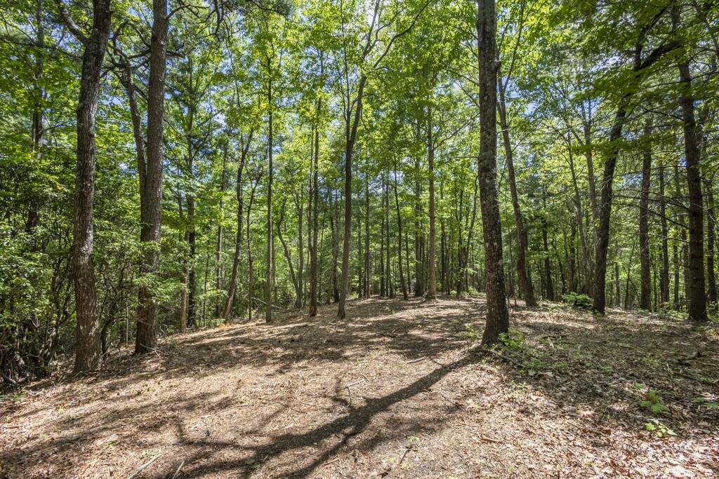 34-ac Donley Road Murphy, NC 28906 - Photo 34 of 37 Gallery Image 34