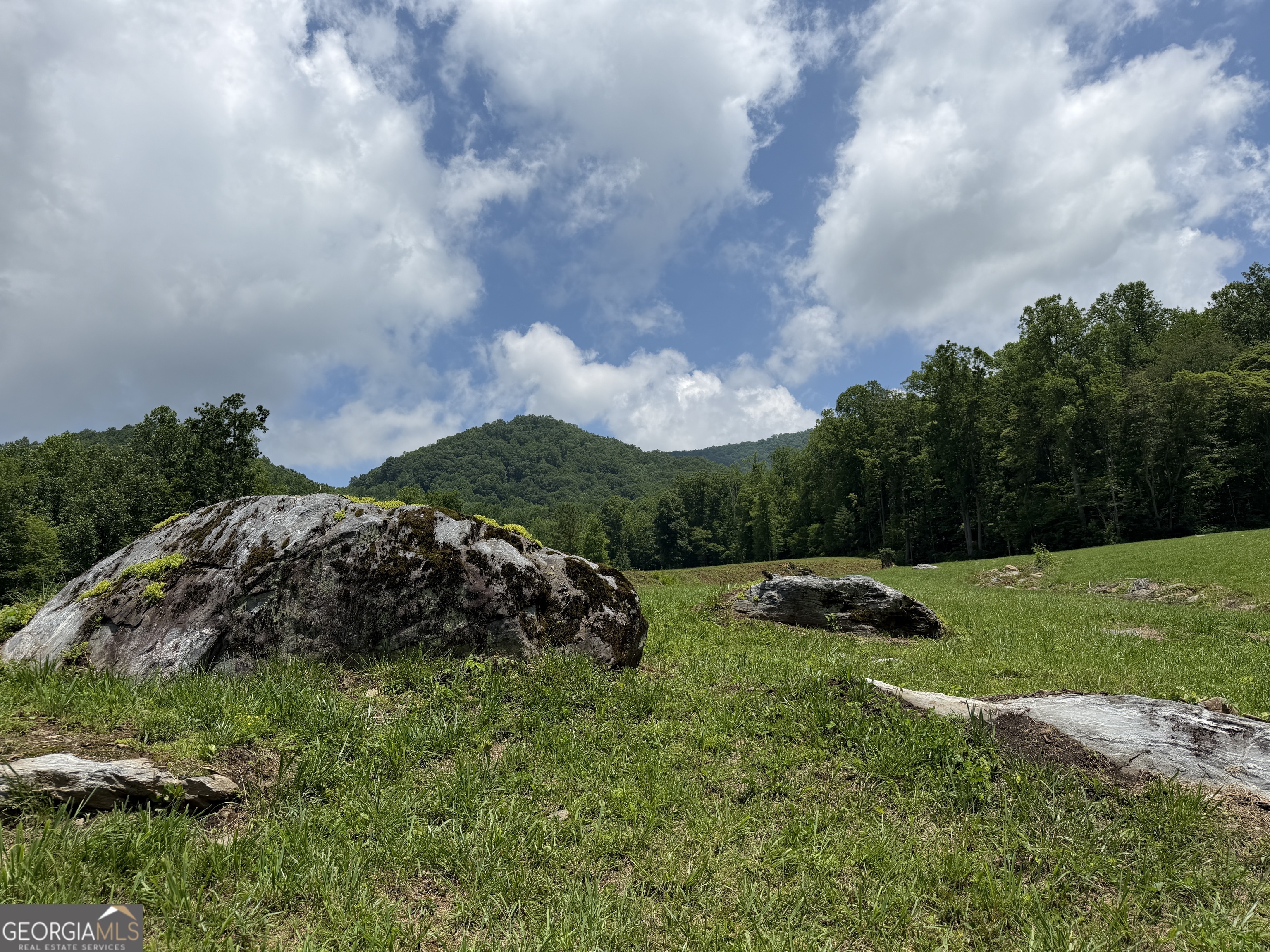 1449 Muskrat Creek Road Hayesville, NC 28904 - Photo 86 of 95