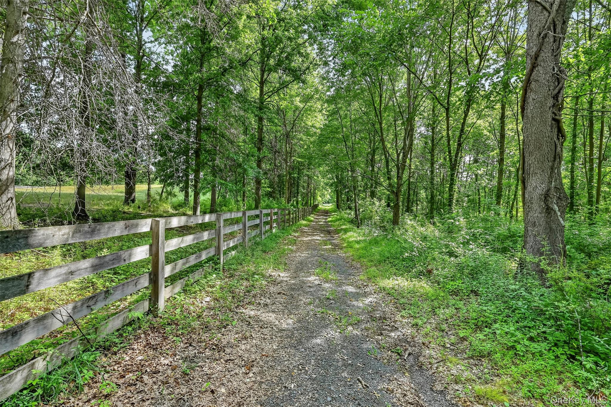 123 Collabar Road Montgomery, NY 12549 - Photo 50 of 50