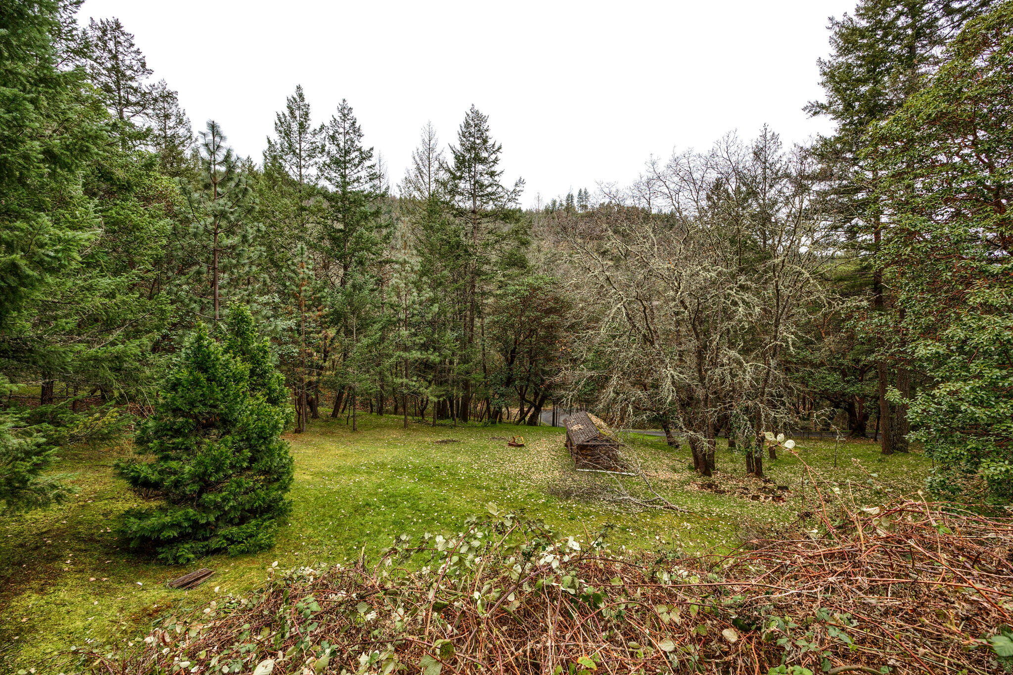 2109 Knowles Road Medford, OR 97501 - Photo 51 of 67 51-web-or-mls-ApxKR (51)