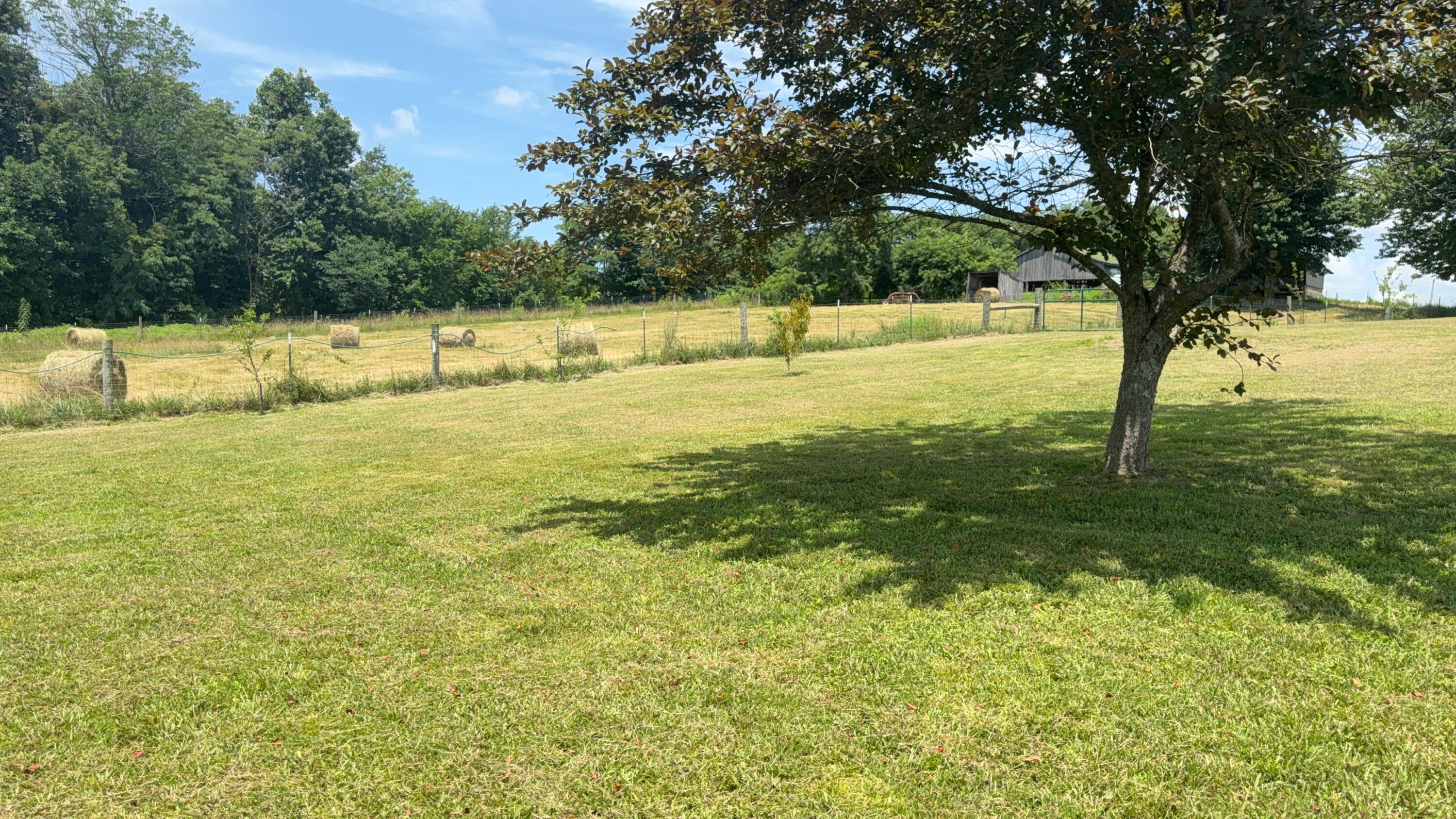 979 Walnut Grove School Road Waynesburg, KY 40489 - Photo 16 of 57 IMG_2513