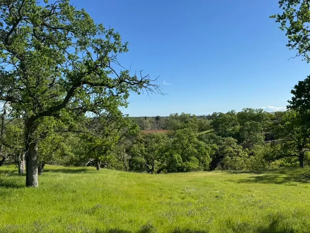 a view of grassy field with trees
