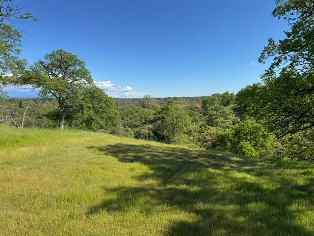 a view of outdoor space and yard