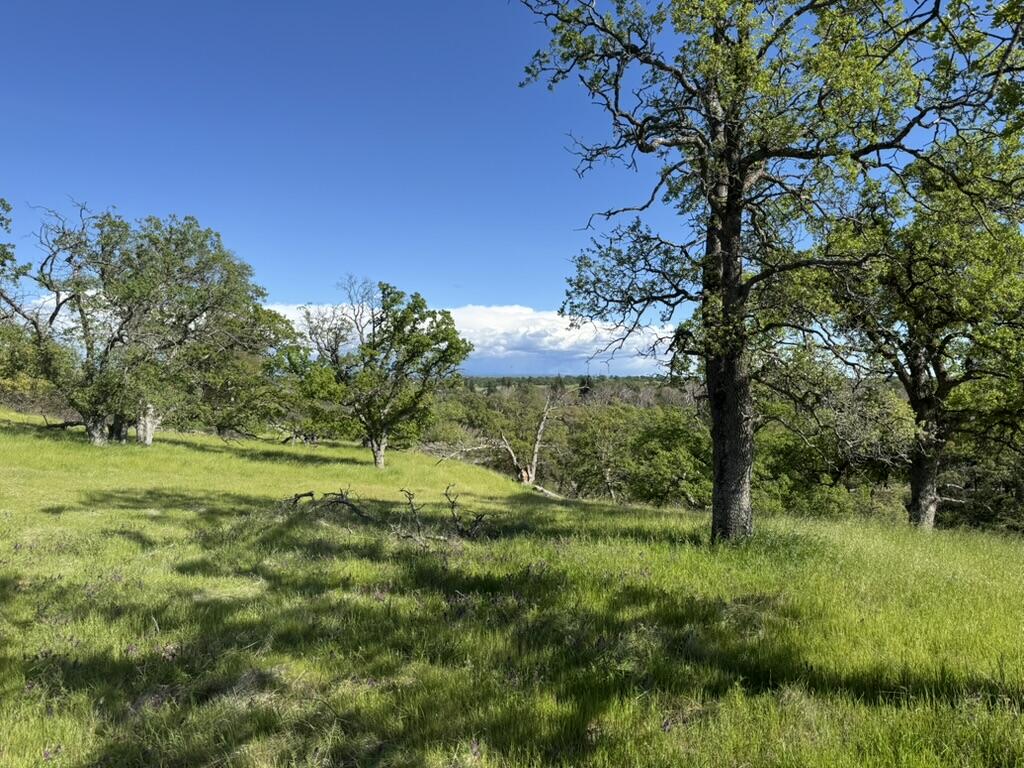 22545 Rio Robles Drive Red Bluff, CA 96080 - Photo 12 of 24 E29F5BBA-2C2F-48C7-B07A-BD525D8055EF_1_1