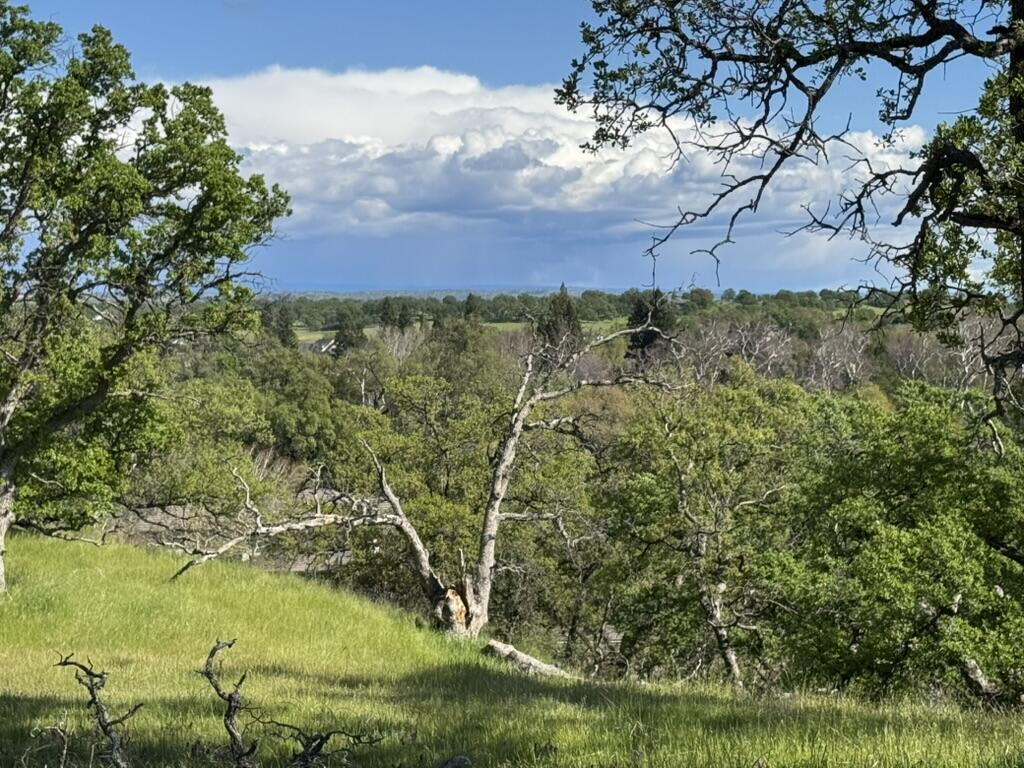 22545 Rio Robles Drive Red Bluff, CA 96080 - Photo 13 of 24 87F31D5C-538F-44DC-8712-4F7B33F301C7_1_1