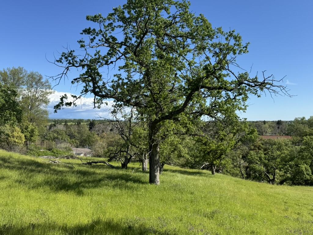 22545 Rio Robles Drive Red Bluff, CA 96080 - Photo 15 of 24 1ABD2BB8-F8FB-4A85-8793-04786AAFCAF5_1_1