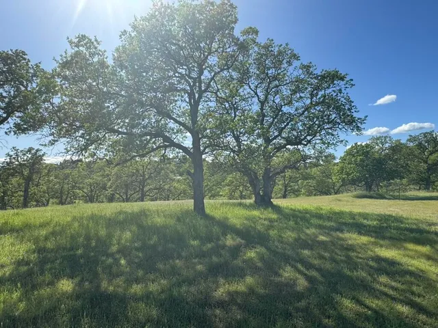 a view of outdoor space with trees all around