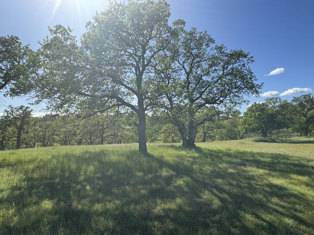 22545 Rio Robles Drive Red Bluff, CA 96080 - Photo 16 of 24 387AB33B-1268-4AFA-8AEA-131B3684F8F9_1_1