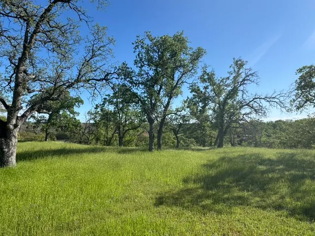 a view of a grassy field with trees in the background