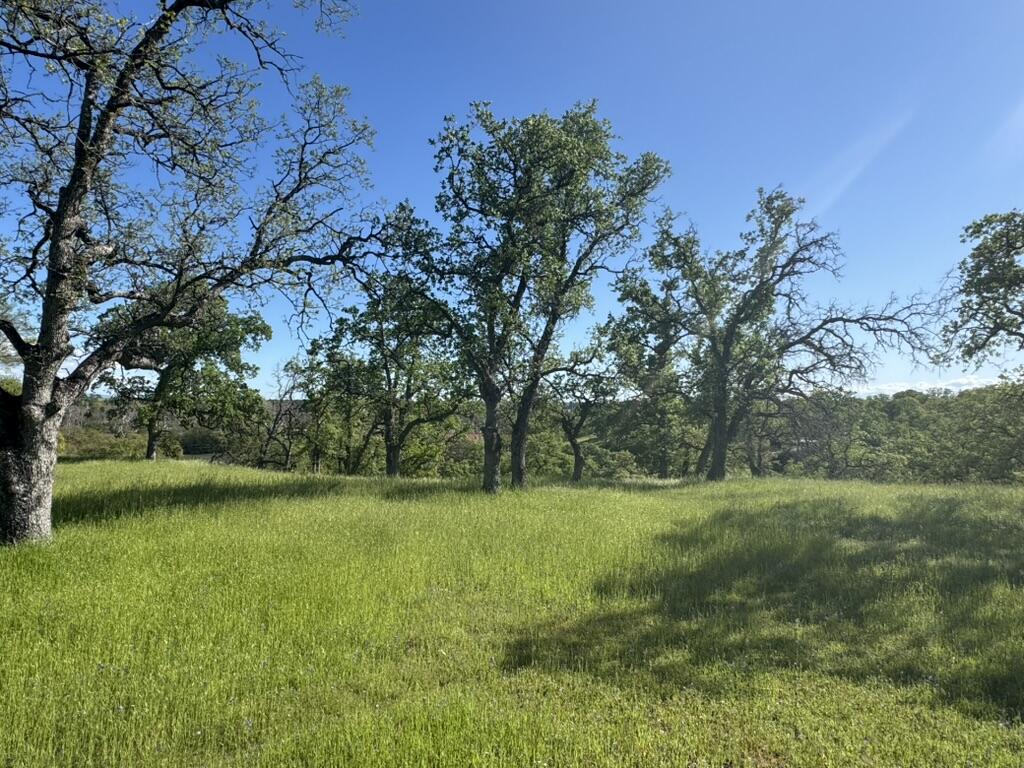 22545 Rio Robles Drive Red Bluff, CA 96080 - Photo 18 of 24 DBE8B360-C653-4CBB-BDA9-1B9AE972072C_1_1