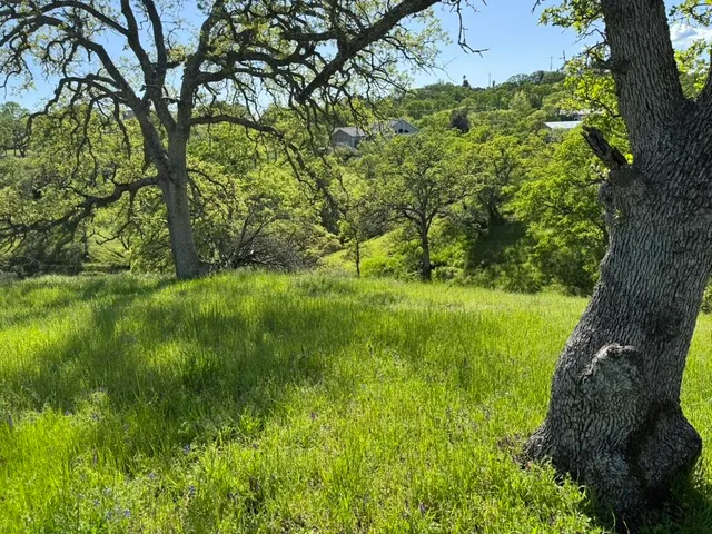 a view of yard with green space