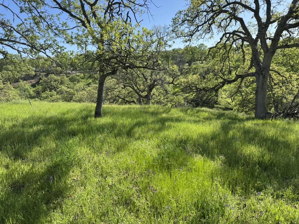 22545 Rio Robles Drive Red Bluff, CA 96080 - Photo 3 of 24 61718E3F-06CB-4AF6-815D-53B39A4C6F76_1_1