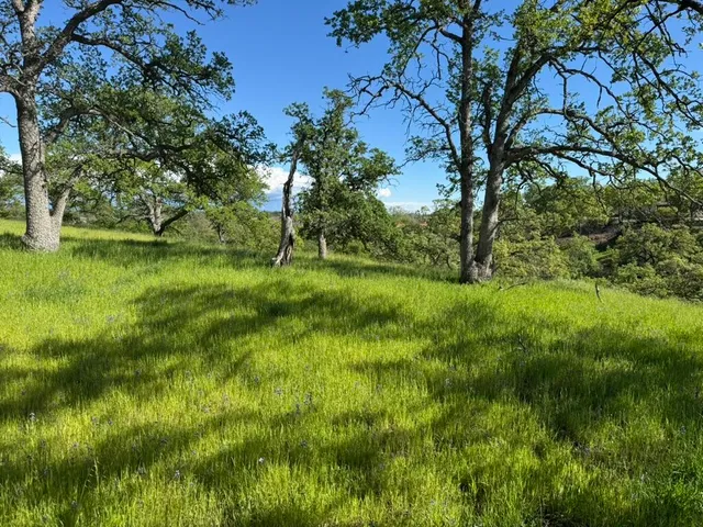 a view of yard with green space
