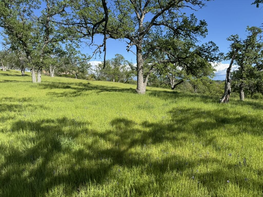 22545 Rio Robles Drive Red Bluff, CA 96080 - Photo 5 of 24 D8262471-3408-4CD3-BA31-43C84FAB85C2_1_1