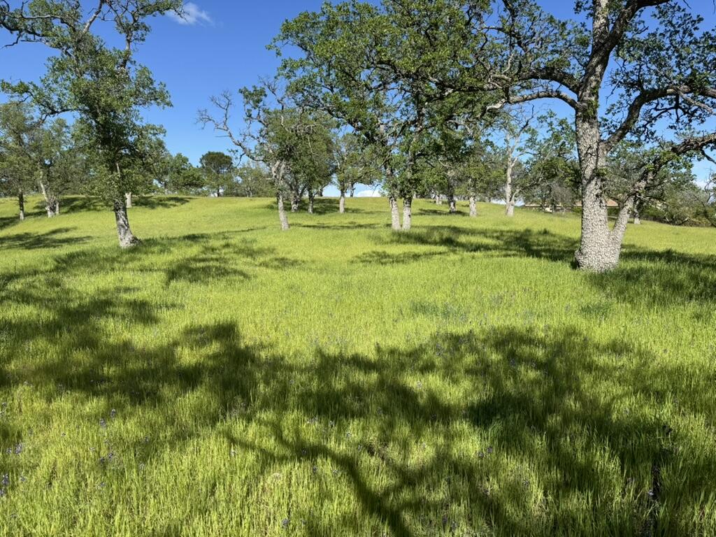 22545 Rio Robles Drive Red Bluff, CA 96080 - Photo 6 of 24 E8CA5434-A4C2-4B91-B0CC-BF49E41032C5_1_1