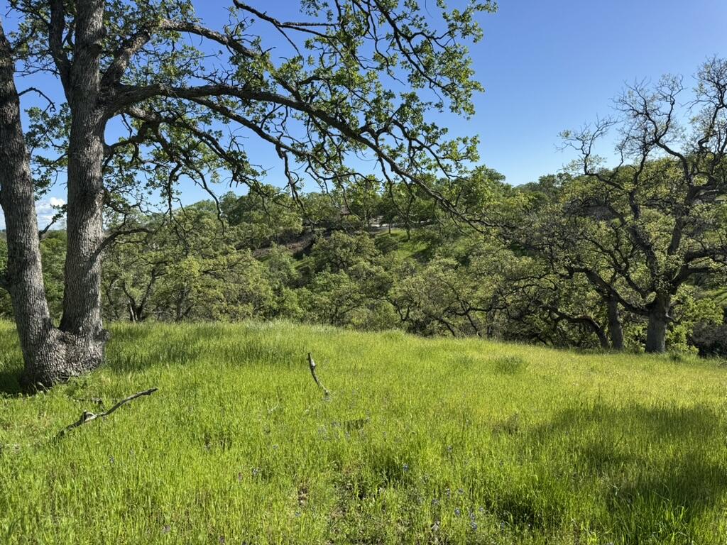 22545 Rio Robles Drive Red Bluff, CA 96080 - Photo 7 of 24 BACD5477-1606-4CED-A9E0-72C8CCFB1E44_1_1