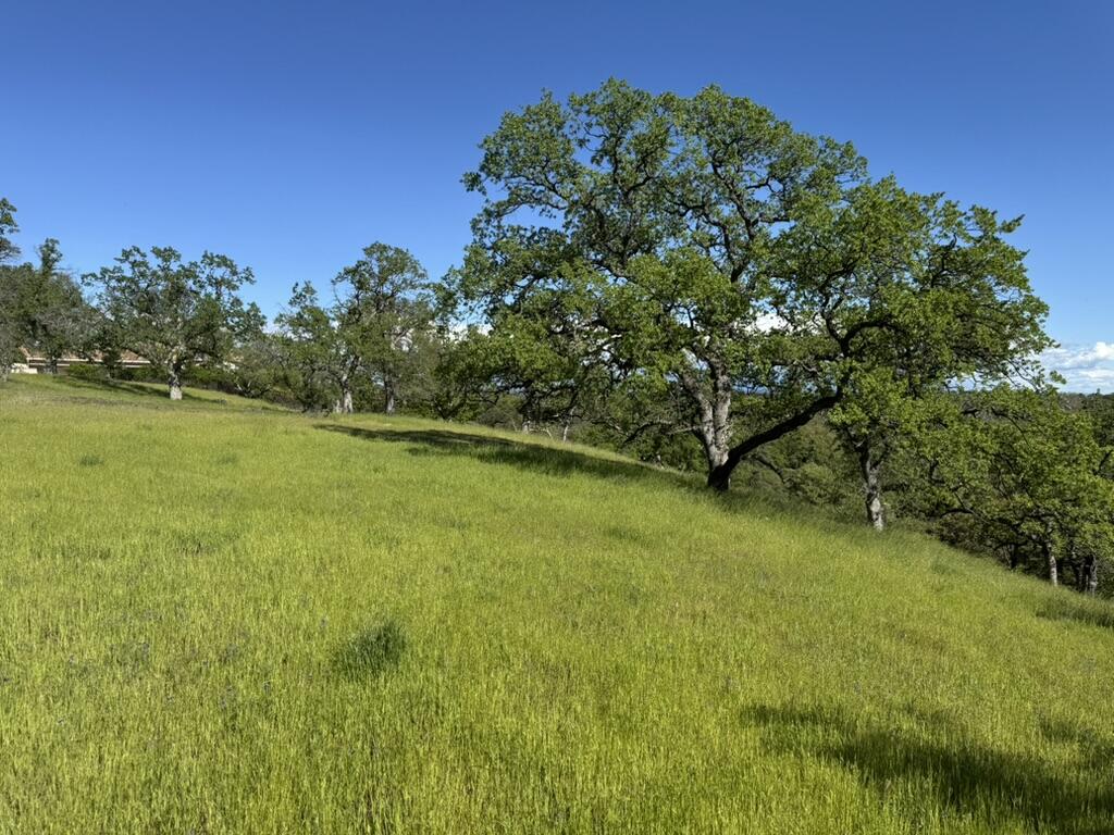 22545 Rio Robles Drive Red Bluff, CA 96080 - Photo 9 of 24 1135454D-FA8B-4249-BE24-8F678D13845A_1_1