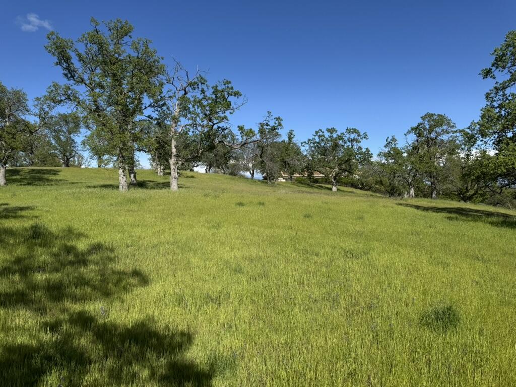 22545 Rio Robles Drive Red Bluff, CA 96080 - Photo 10 of 24 8BB41A8B-FB1B-49B6-B4F2-04B7EEA334AF_1_1
