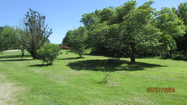 a view of a tree in a park