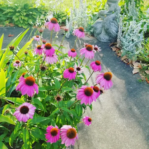 $450,000 | 380 Lanning Road, Lawrenceburg, TN 38464