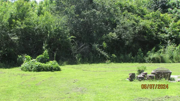 a car parked in front of a tree