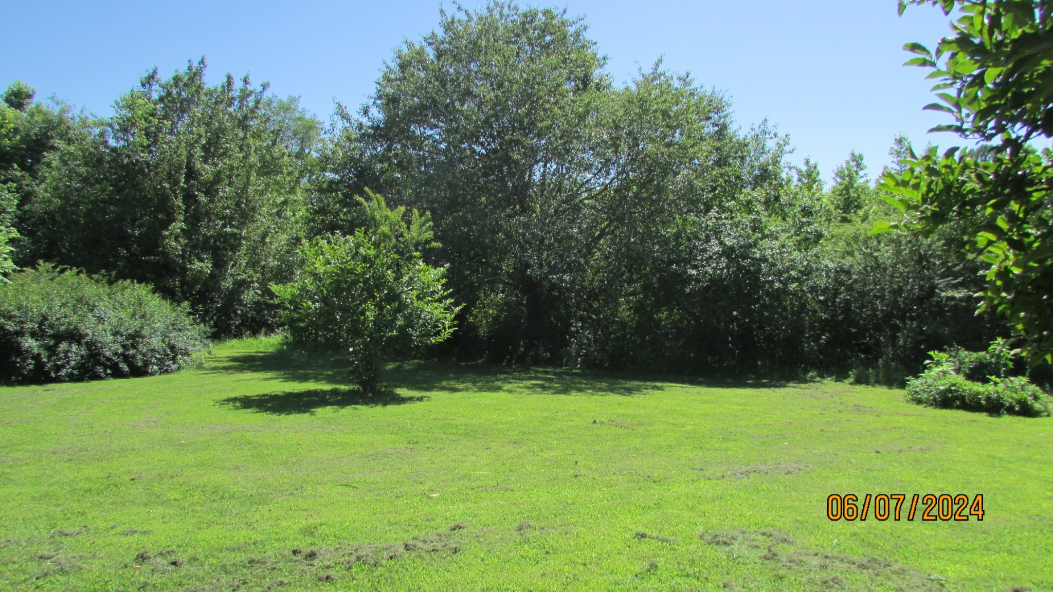 380 Lanning Road Lawrenceburg, TN 38464 - Photo 47 of 54 a view of green field with trees in the background