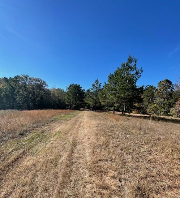 227 Collins Road Natchitoches, LA 71457 - Photo 12 of 28
