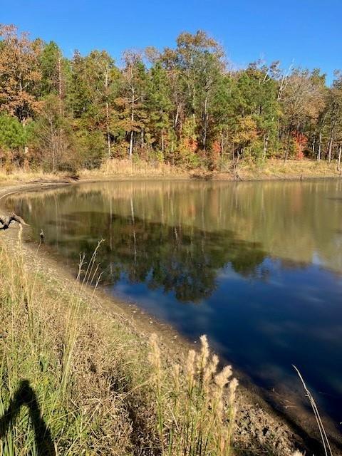 227 Collins Road Natchitoches, LA 71457 - Photo 3 of 28