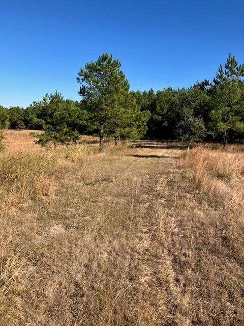 227 Collins Road Natchitoches, LA 71457 - Photo 5 of 28