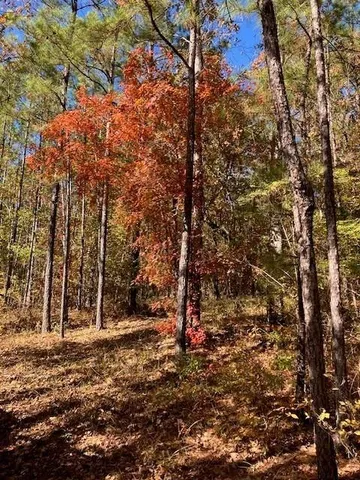 $475,000 | 227 Collins Road, Natchitoches, LA 71457