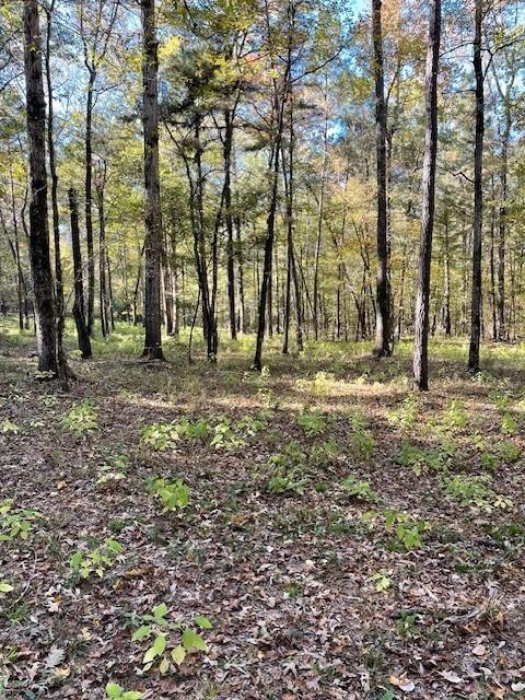 227 Collins Road Natchitoches, LA 71457 - Photo 8 of 28