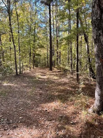 $475,000 | 227 Collins Road, Natchitoches, LA 71457