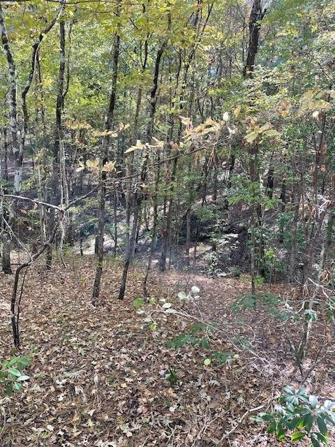 227 Collins Road Natchitoches, LA 71457 - Photo 10 of 28