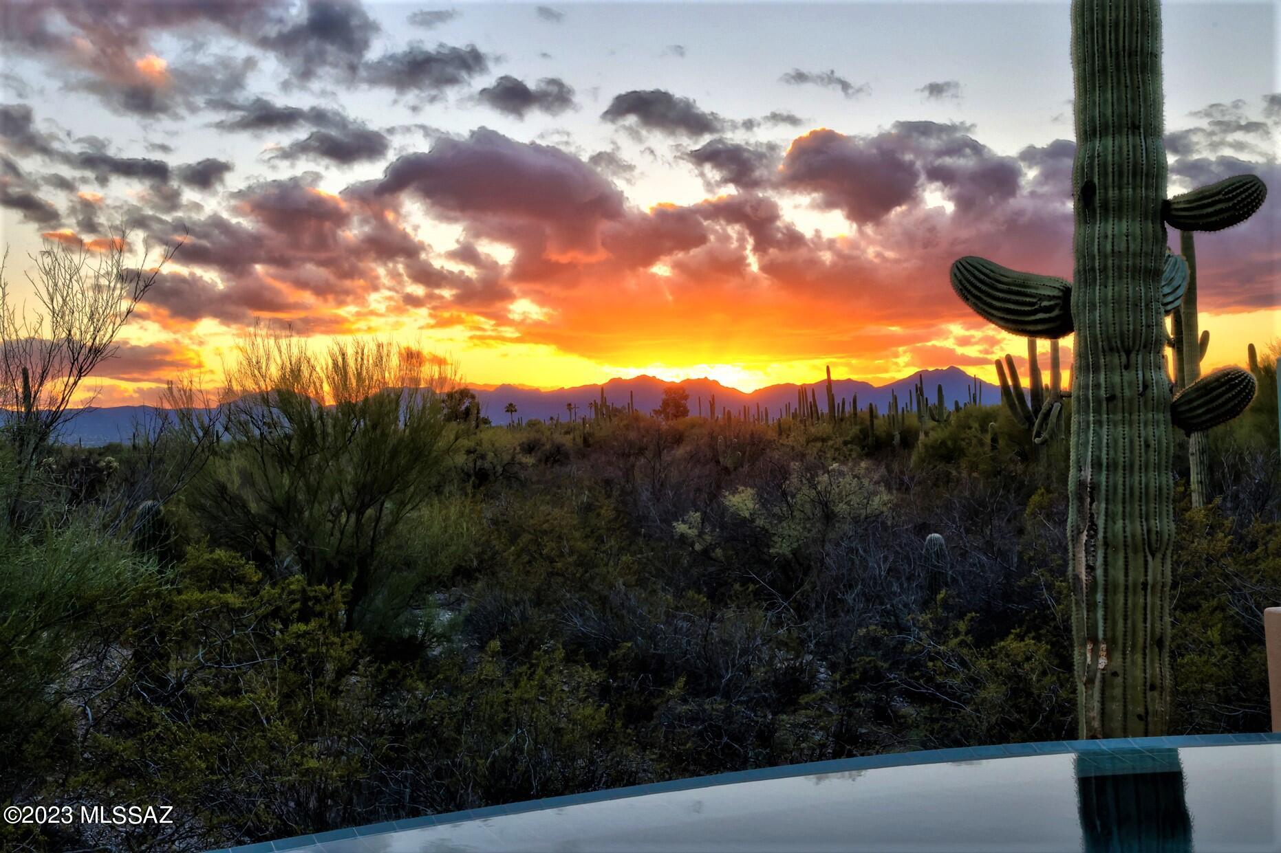 690 East Rudasill Road Tucson, AZ 85704 - Photo 48 of 50 Gallery Image 48