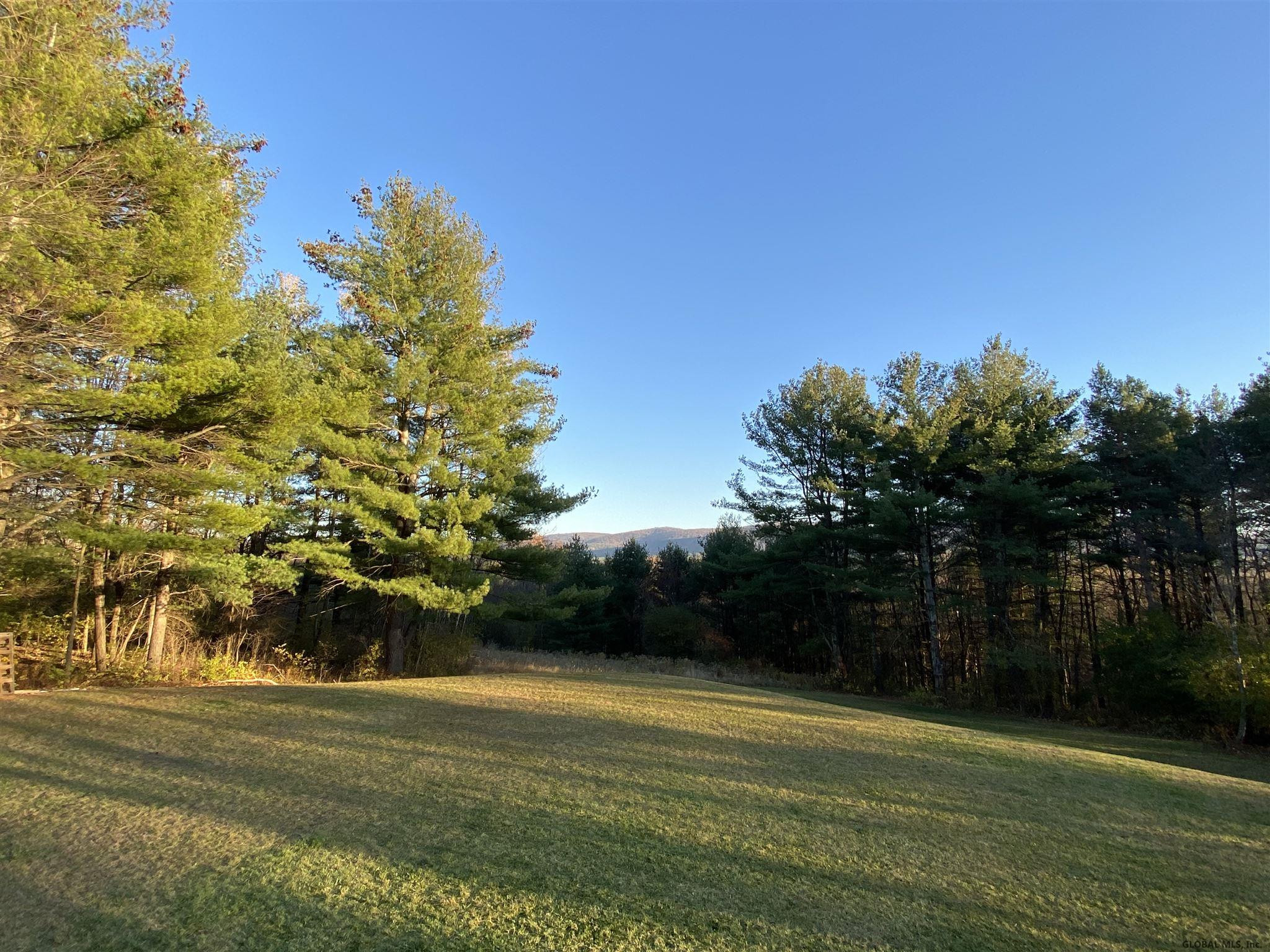 146 Phillips Road Pittstown, NY 12185 - Photo 4 of 36 Photo 4