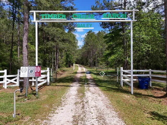 $1,499,999 | 14912 Highway 69, Village Mills, TX 77663