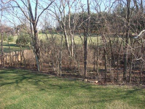 173 Whitman Way Georgetown, KY 40324 - Photo 47 of 49 Photo 47