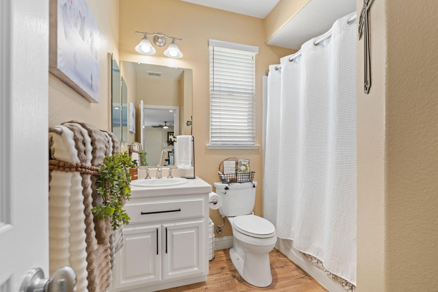 175 Feverfew Street Manteca, CA 95337 - Photo 12 of 59