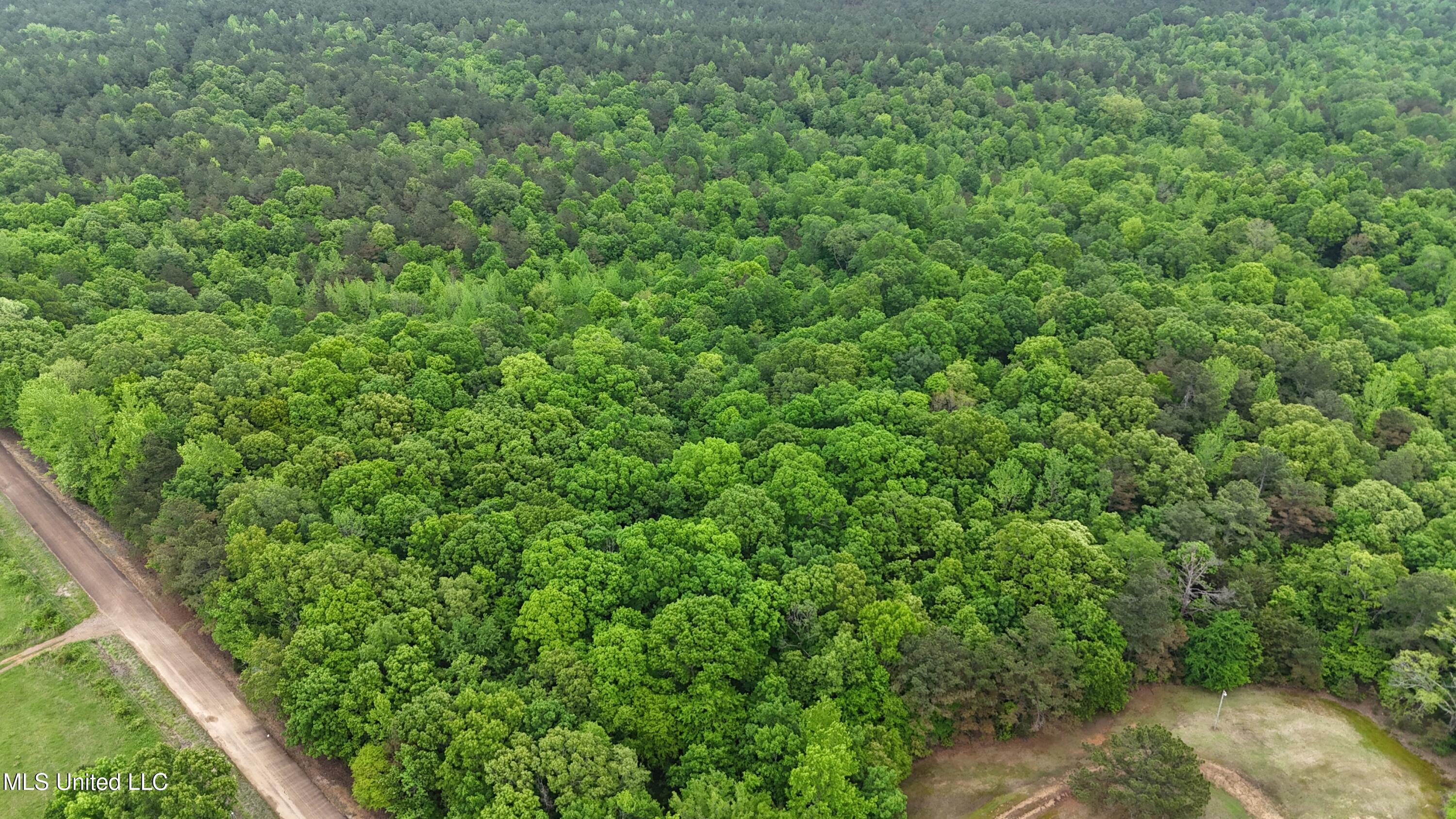 Harris Chapel Road Senatobia, MS 38668 - Photo 15 of 18 DJI_20250426125747_0376_D